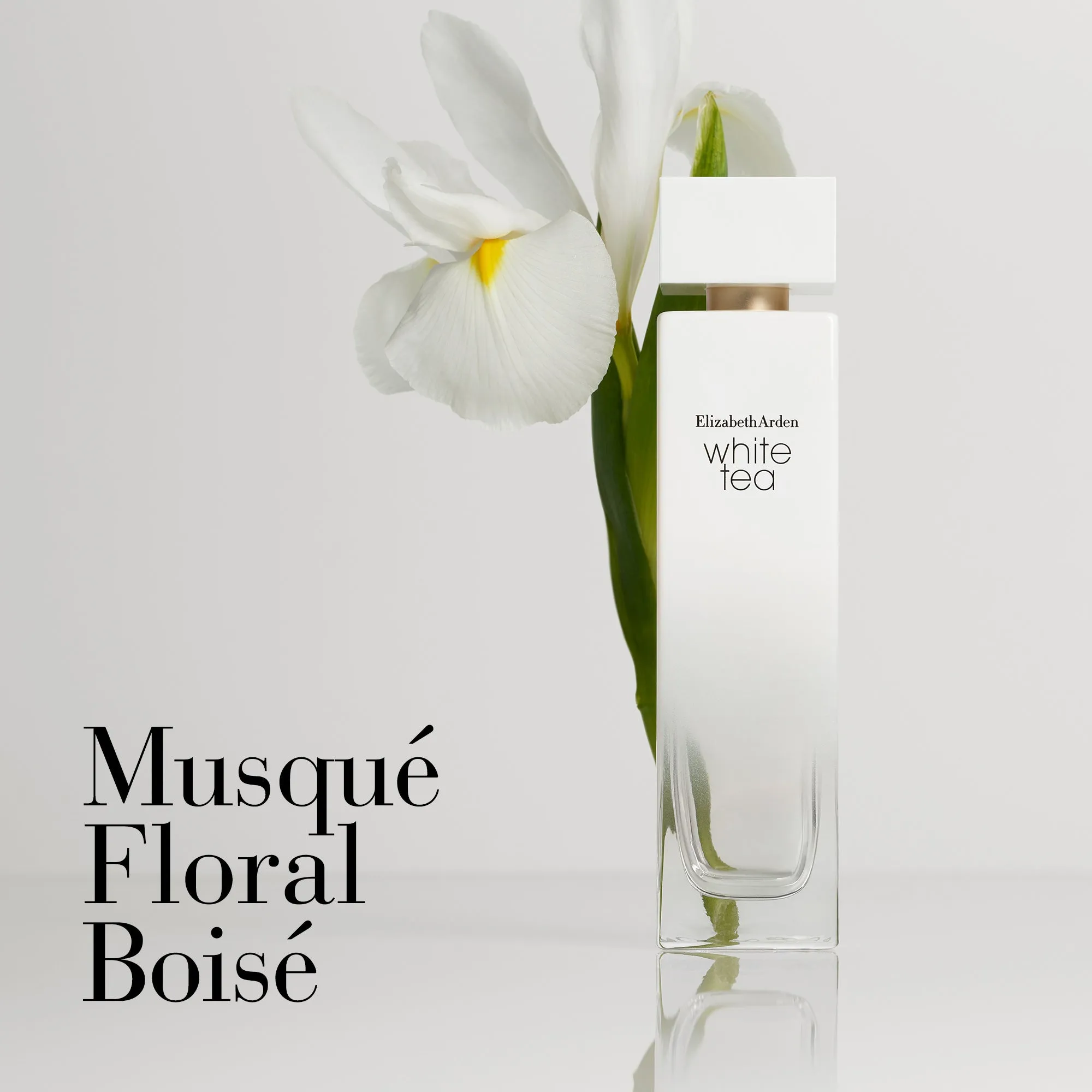 Coffret Eau de Toilette White Tea, Eau de Toilette vaporisateur 100ml, Crème Corps 400ml