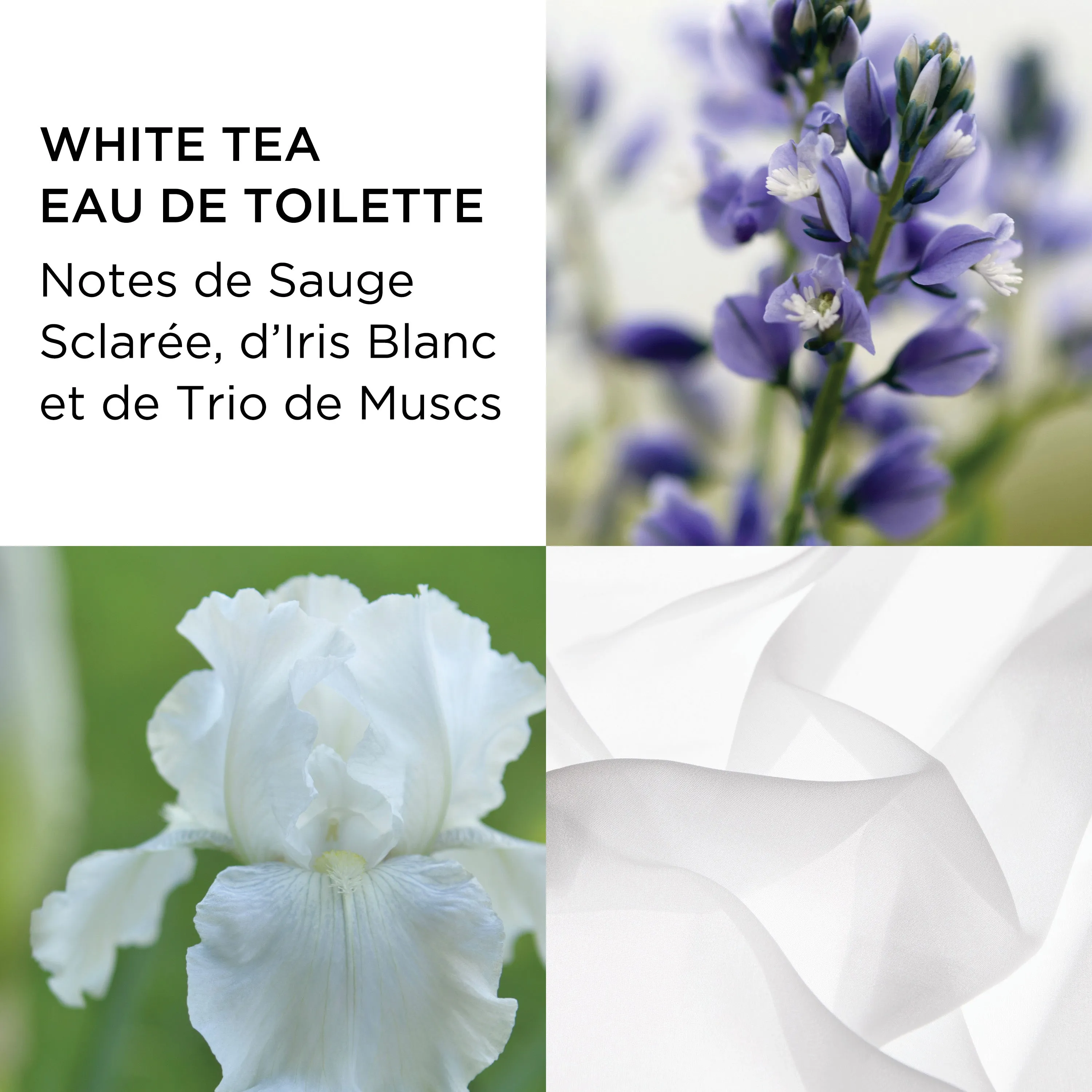 Coffret Eau de Toilette White Tea, Eau de Toilette Vaporisateur 30ml, Crème Corps 100ml