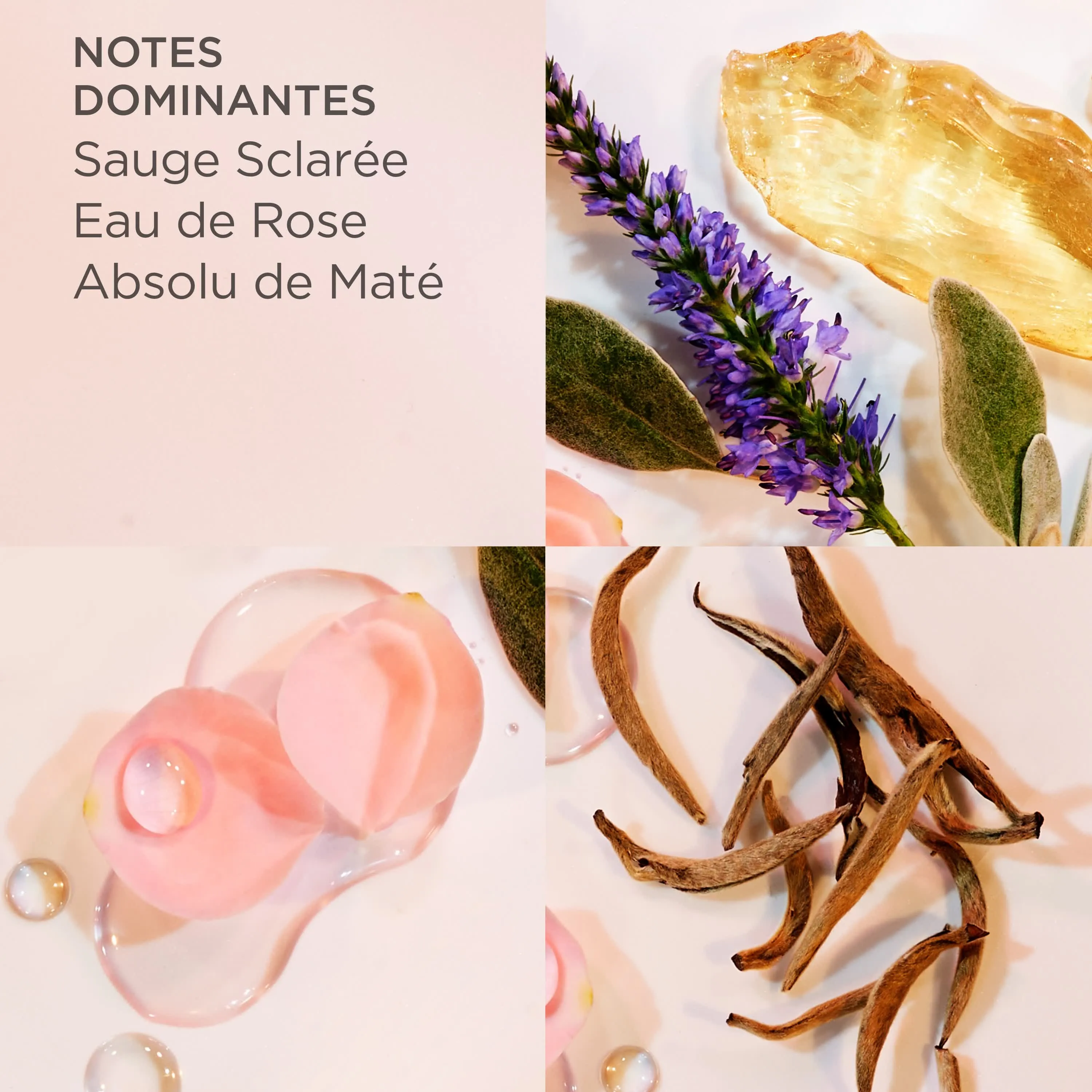 Coffret White Tea 3 miniatures de 10ml, Eau de Parfum, Eau de Toilette, Eau Florale