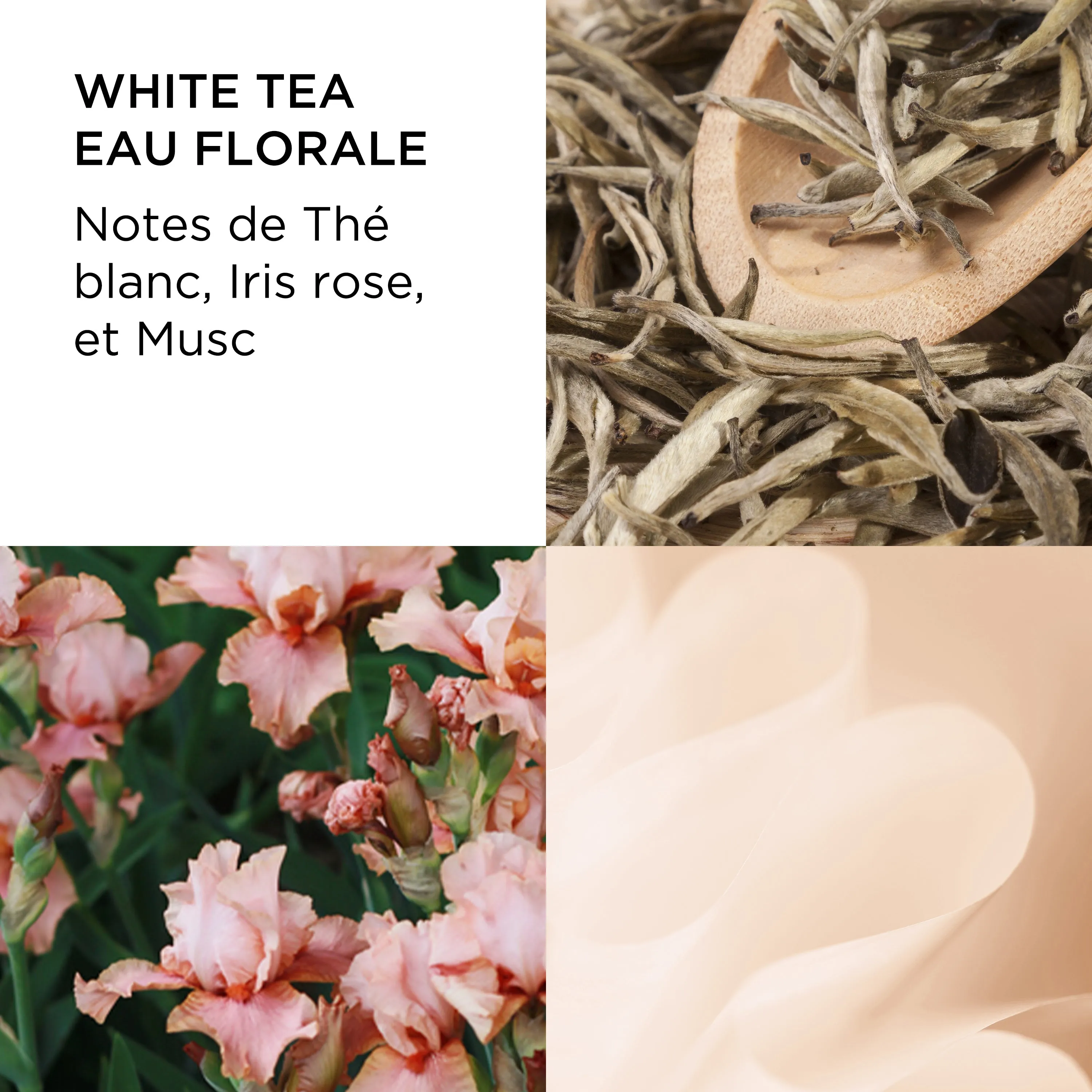 Coffret White Tea 3 miniatures de 10ml, Eau de Parfum, Eau de Toilette, Eau Florale