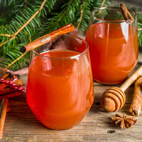 Dry January Kit: Organic Teas for Mocktails