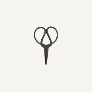 Household Scissor Iron
