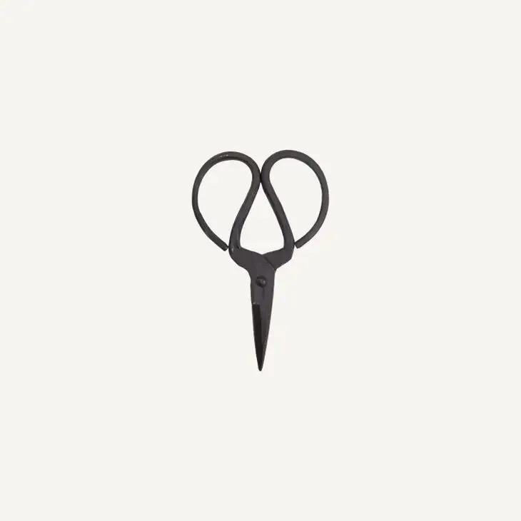 Household Scissor Iron