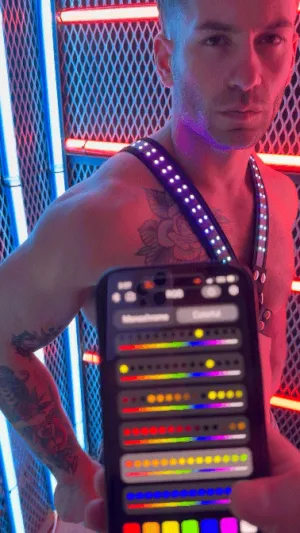 SOUNDWAVE CROSS HARNESS