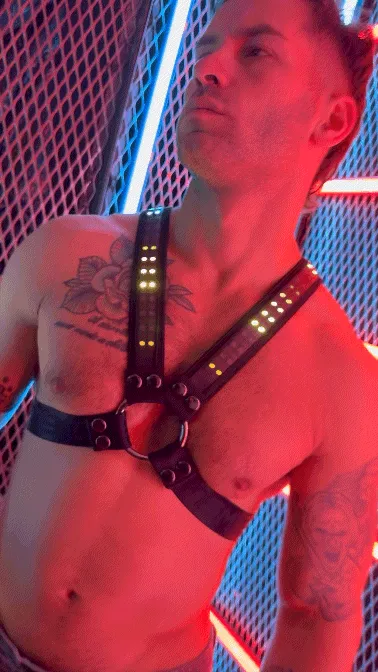SOUNDWAVE CROSS HARNESS