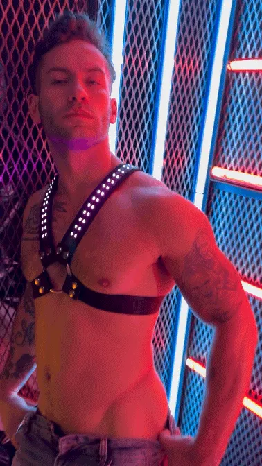 SOUNDWAVE CROSS HARNESS